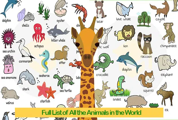 Full List of All the Animals in the World