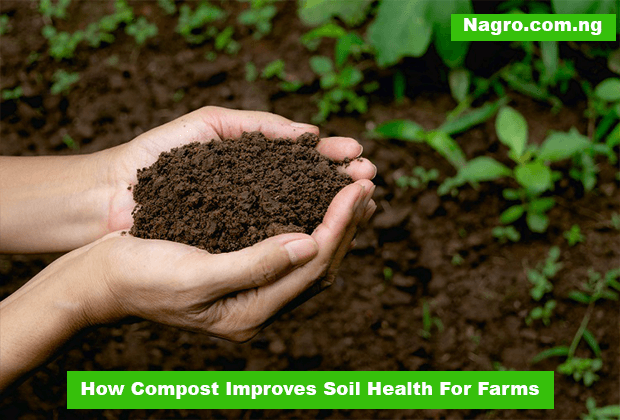 How Compost Improves Soil Health For Farms