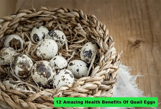 12 Amazing Health Benefits Of Quail Eggs